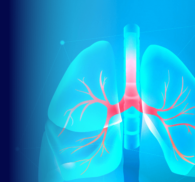 WhatsApp Image 2026-02-06 at 1.03.25 PM 2 (1)